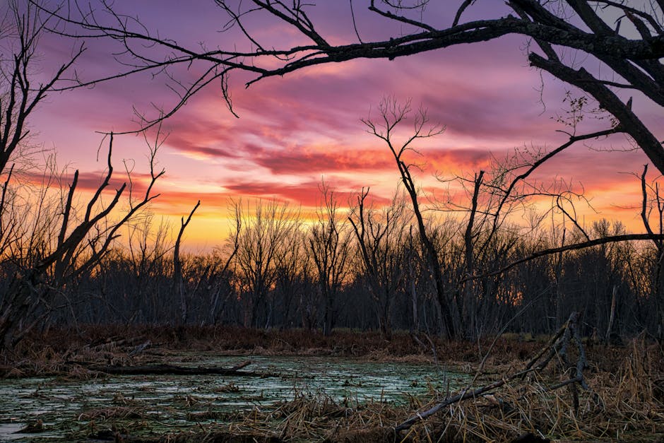 Navigating the Construction Technology Landscape: Trends and Implications in 2026